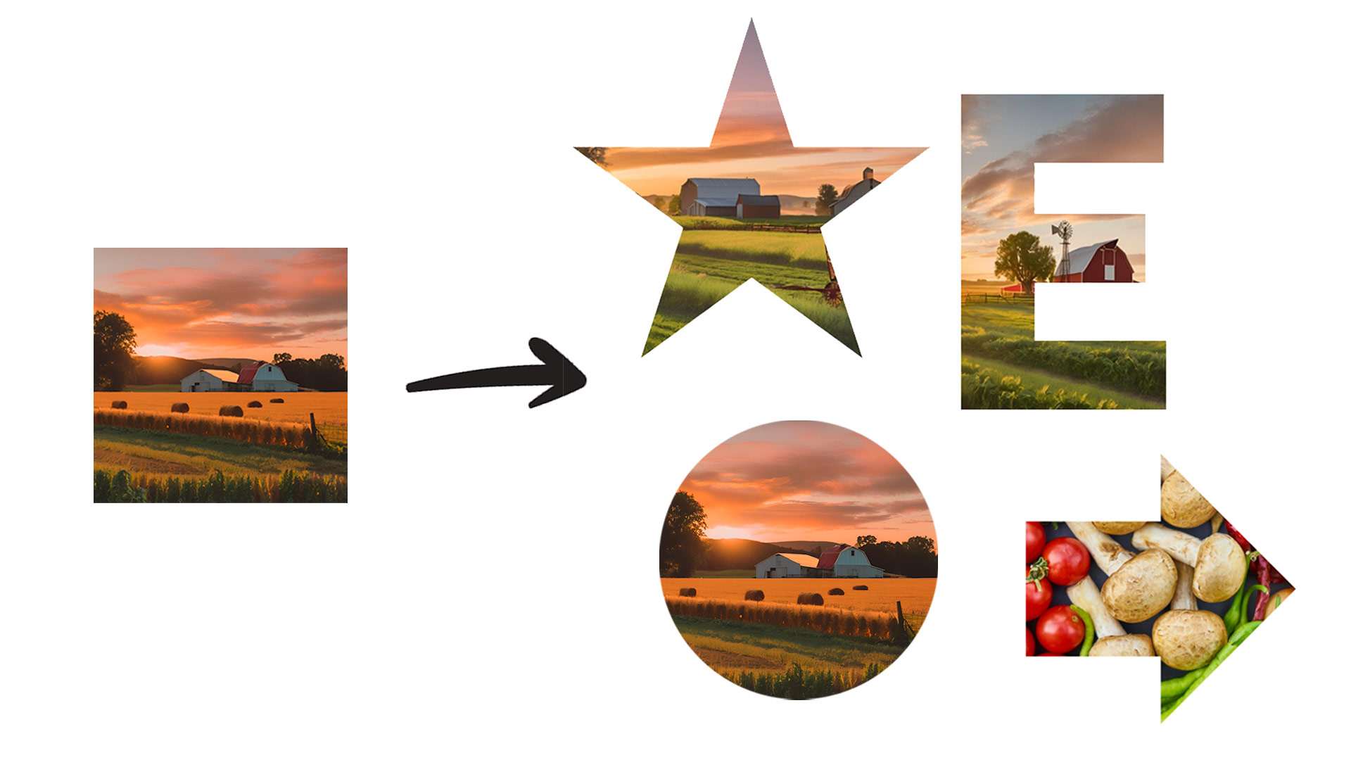 place or crop an image into a shape in canva